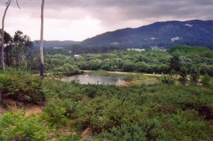 O humedal en 2003, aínda incluído na Rede Natura europea