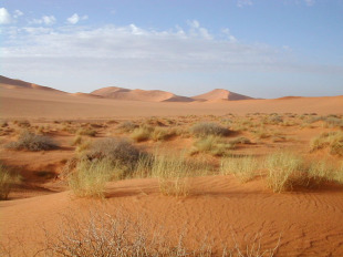 Deserto do Sáhara